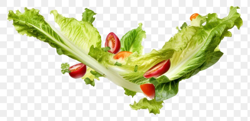PNG Vegetables lettuce salad plant. AI generated Image by rawpixel.