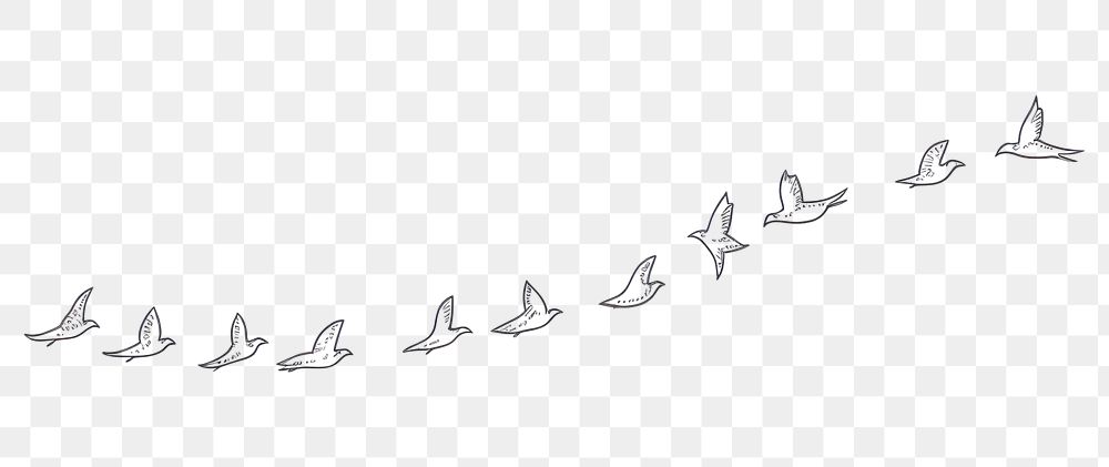 PNG  Birds flying text animal flock. AI generated Image by rawpixel.