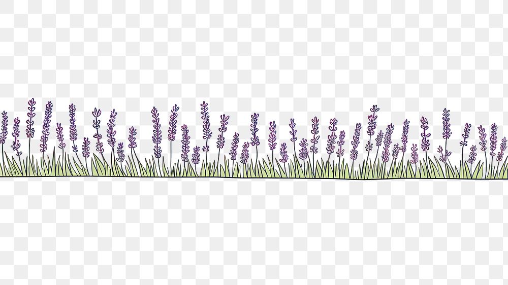 PNG Lavender flower plant grass. AI generated Image by rawpixel.