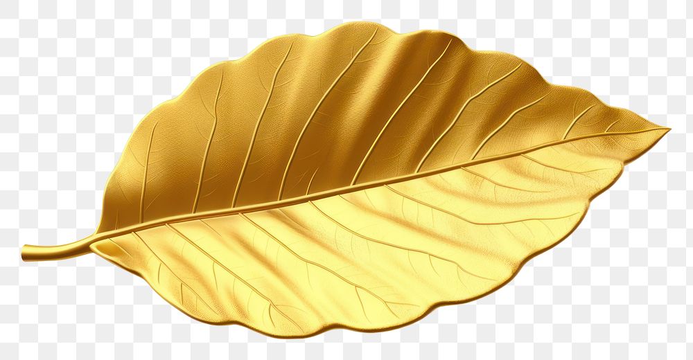 PNG  A leaf plant gold white background. AI generated Image by rawpixel.