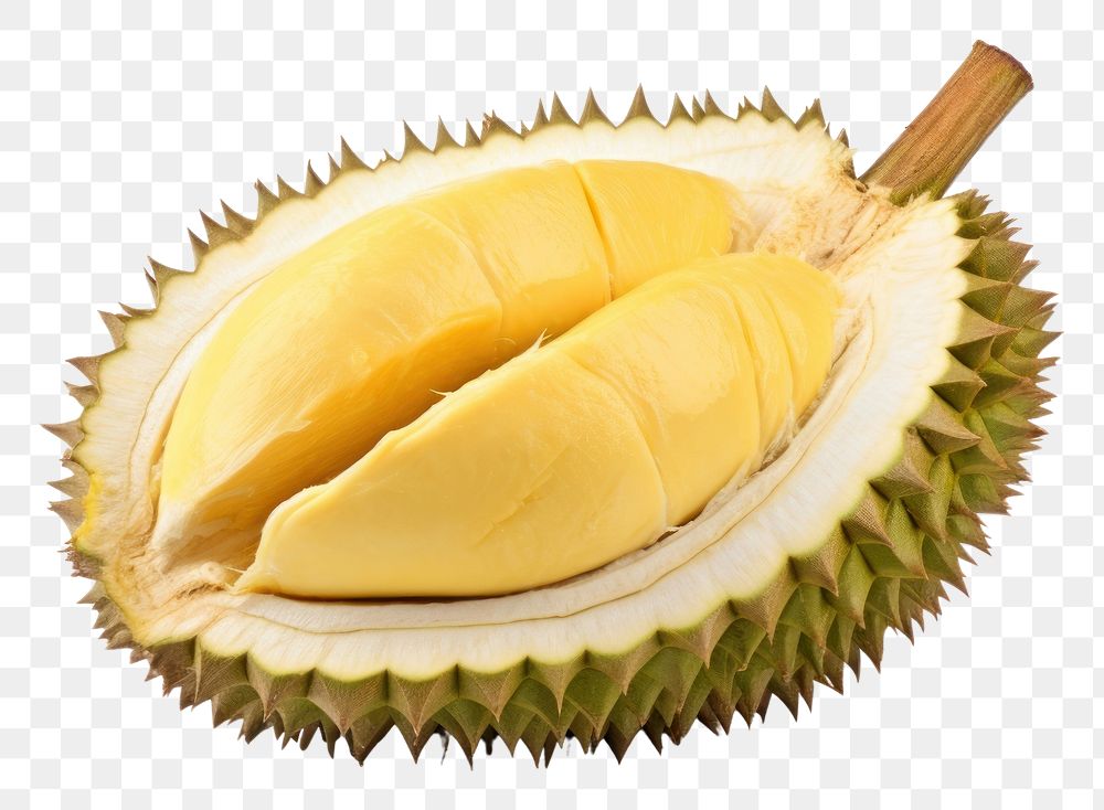 PNG  Durian fruit plant food. AI generated Image by rawpixel.