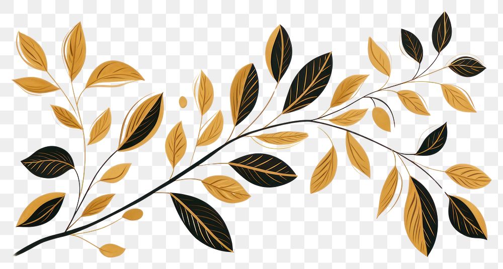 PNG Coffee plant pattern branch leaf. AI generated Image by rawpixel.