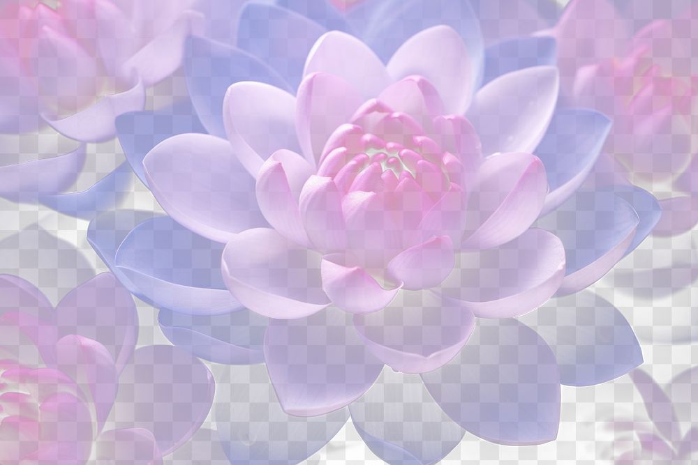 PNG Lotus blossom flower dahlia. AI generated Image by rawpixel.