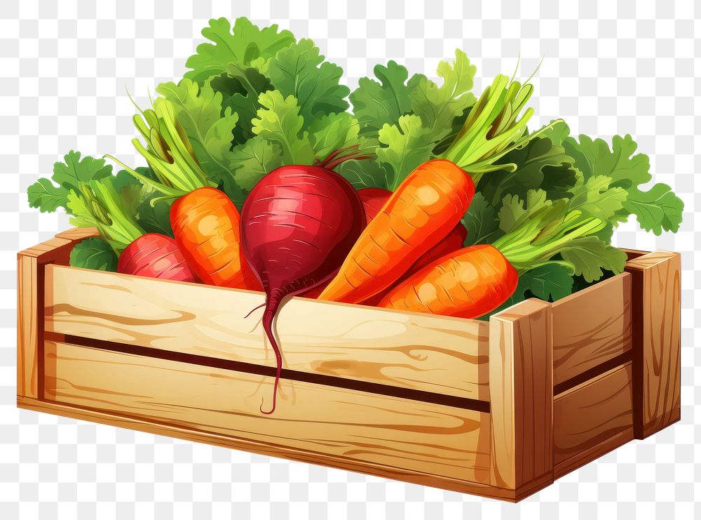 PNG Fresh vegetables carrot box plant. AI generated Image by rawpixel.
