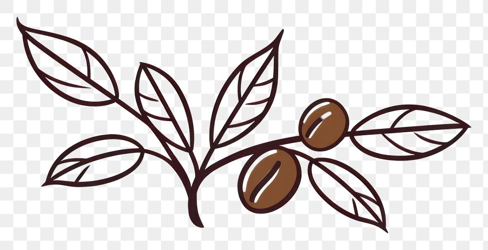 PNG Coffee beans plant pattern drawing. AI generated Image by rawpixel.