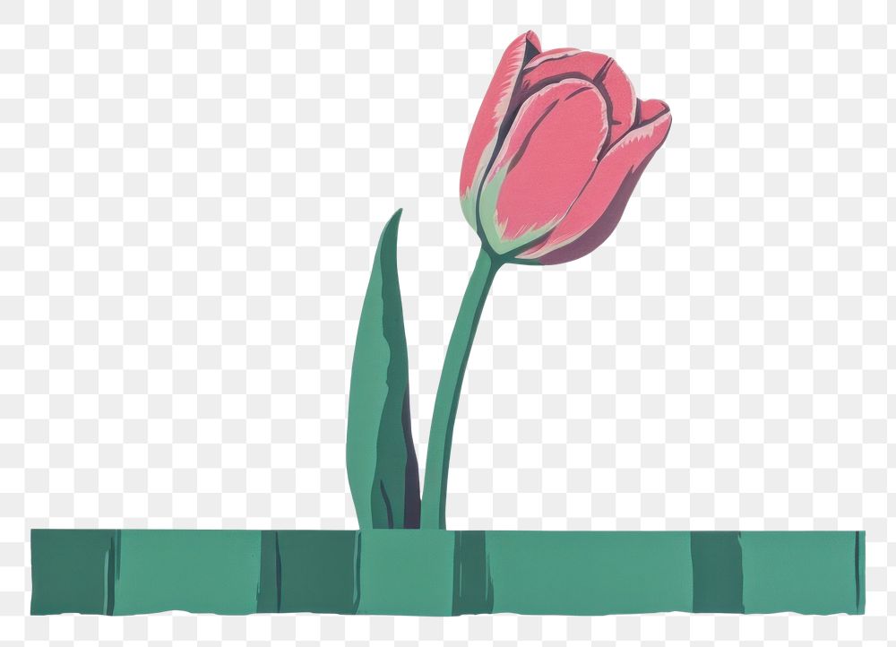 PNG Tulip flower plant rose. AI generated Image by rawpixel.