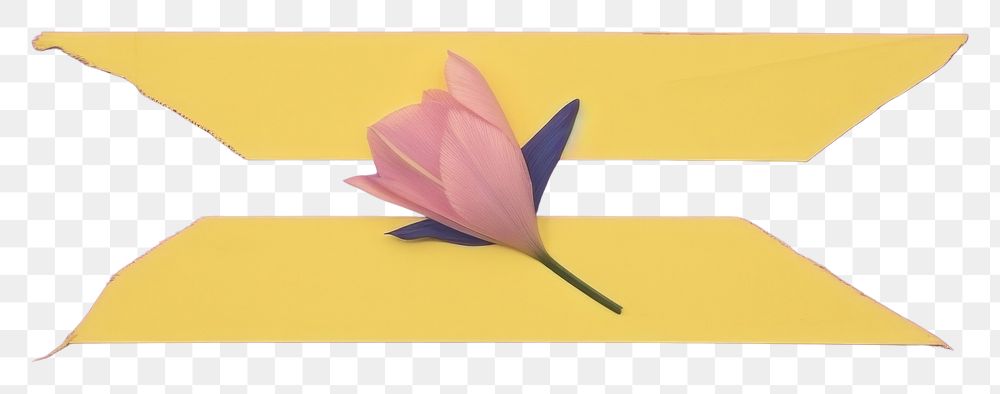 PNG Crocus flower petal plant. AI generated Image by rawpixel.