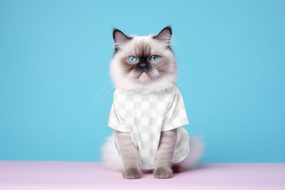Cat's t-shirt png mockup, transparent design