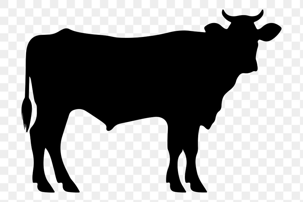 PNG  Cow silhouette livestock cattle.