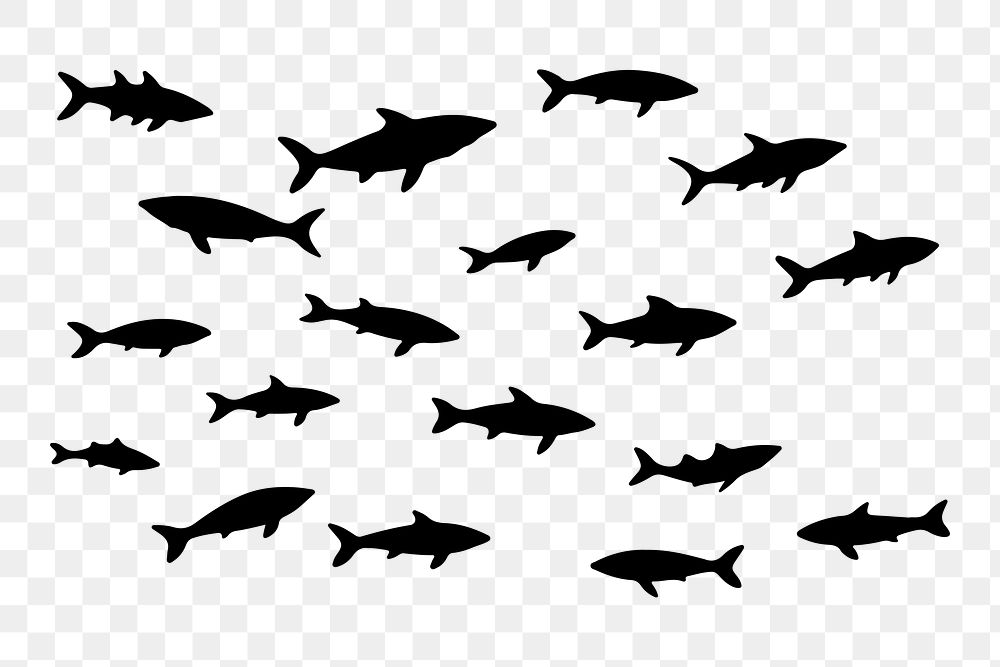 PNG  Flock of fishs silhouette animal shark.