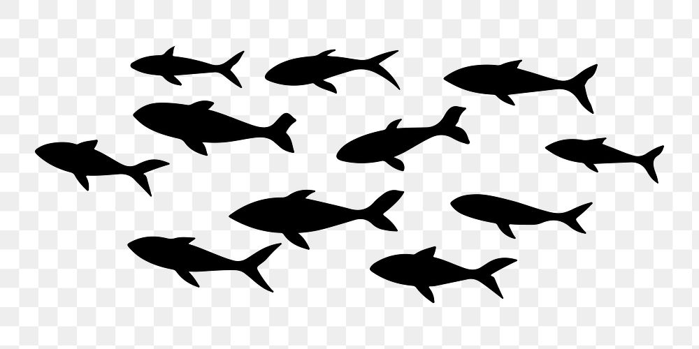 PNG  Flock of fish silhouette animal shark.