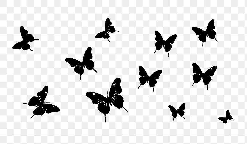 PNG  Butterflies flying silhouette animal white background.