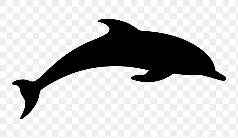PNG  Jumping dolphin silhouette animal mammal.