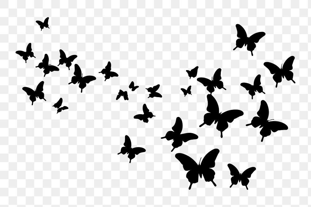 PNG  Butterflies flying silhouette wildlife animal.