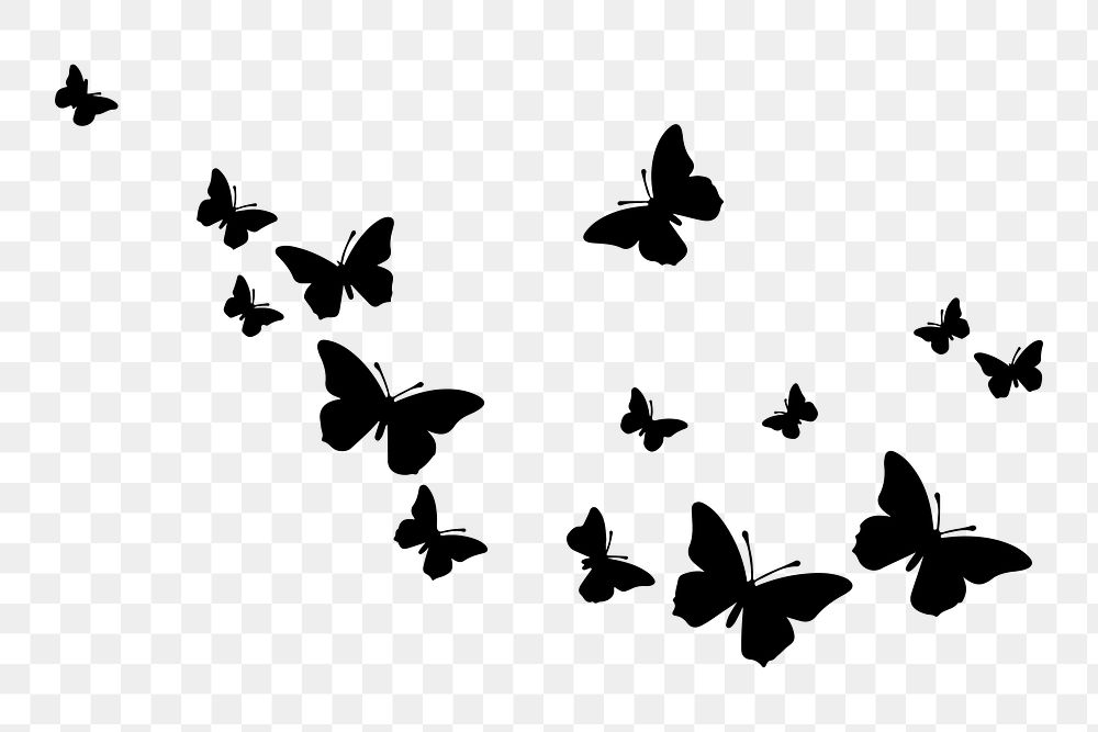 PNG  Butterflies flying butterfly animal insect.