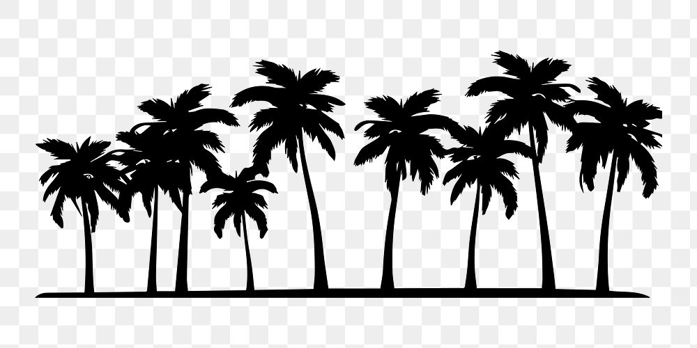 PNG  Palm islans silhouette outdoors nature.