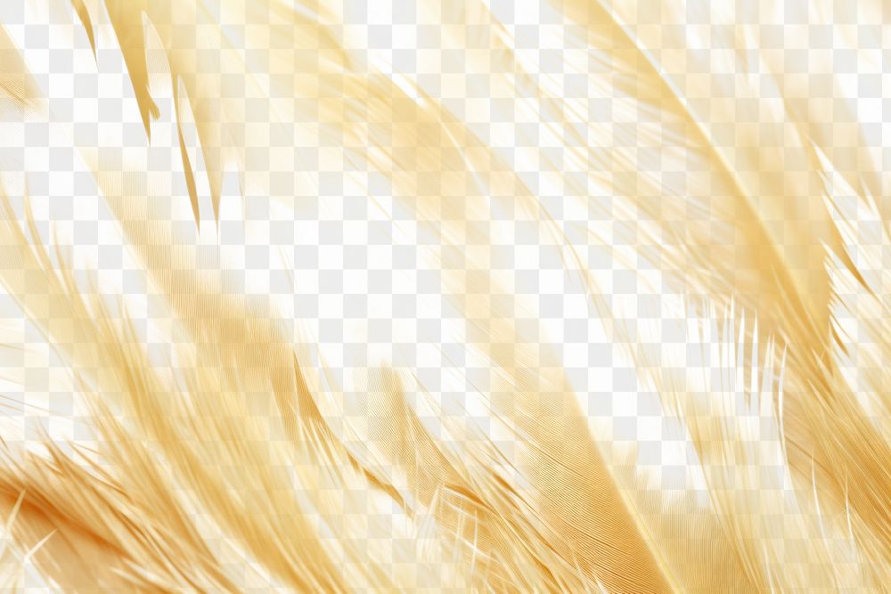 PNG Swan feather skin texture backgrounds gold agriculture. AI generated Image by rawpixel.