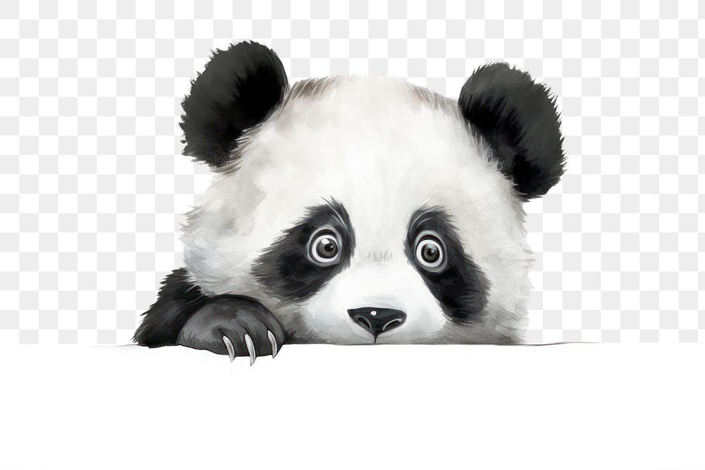 PNG Peeking Panda showing emotion agitated wildlife animal mammal. AI generated Image by rawpixel.