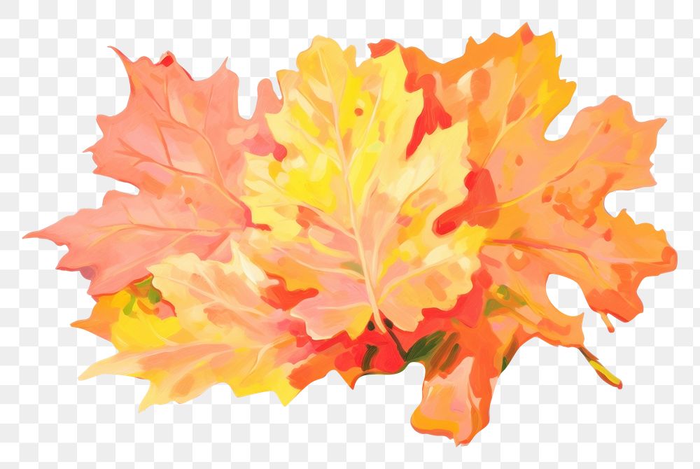 PNG Orange maple painting plant leaf. AI generated Image by rawpixel.