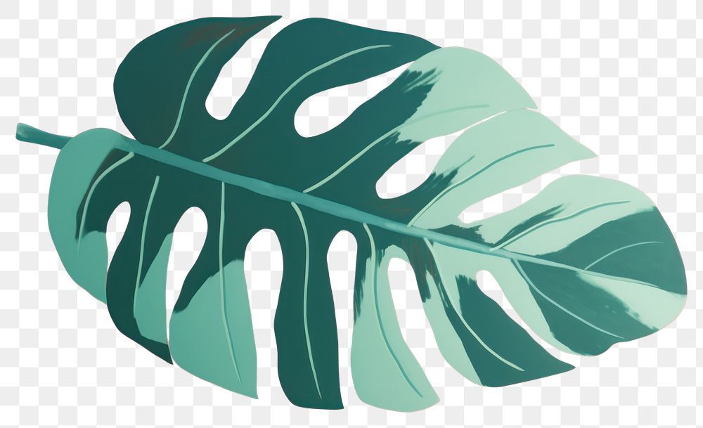 PNG Philodendron leaf plant art xanthosoma. AI generated Image by rawpixel.
