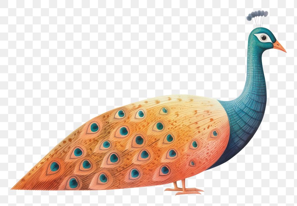 PNG A peacock pheasant animal bird. AI generated Image by rawpixel.