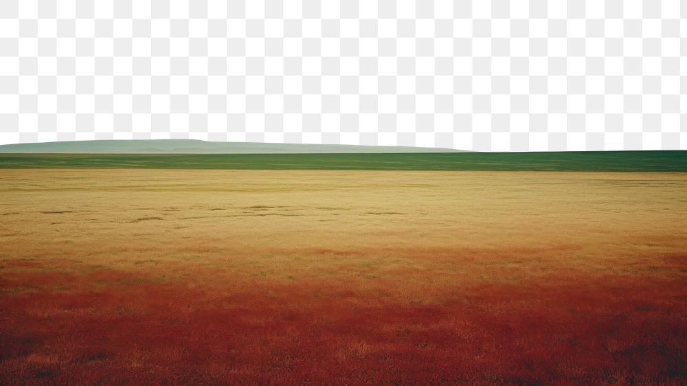 PNG A minimal-large grassland landscape outdoors horizon. AI generated Image by rawpixel.