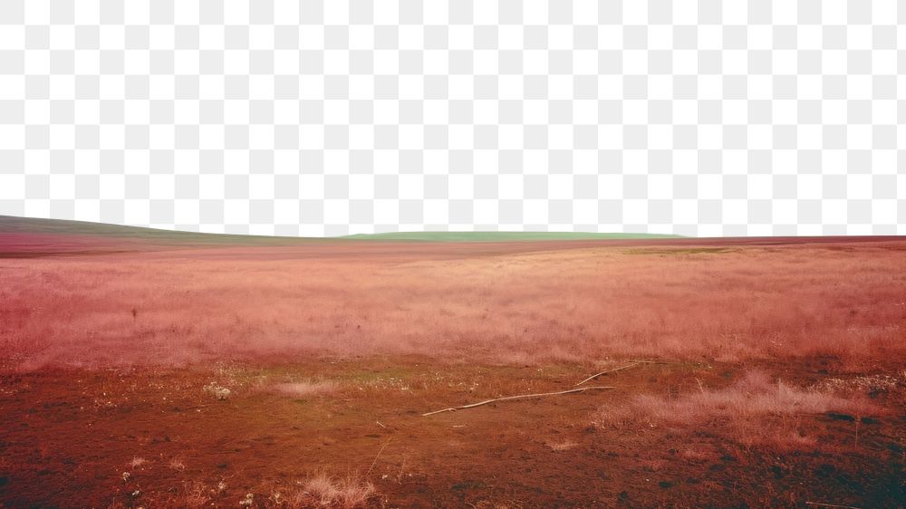 PNG A minimal-large grassland landscape outdoors horizon. AI generated Image by rawpixel.