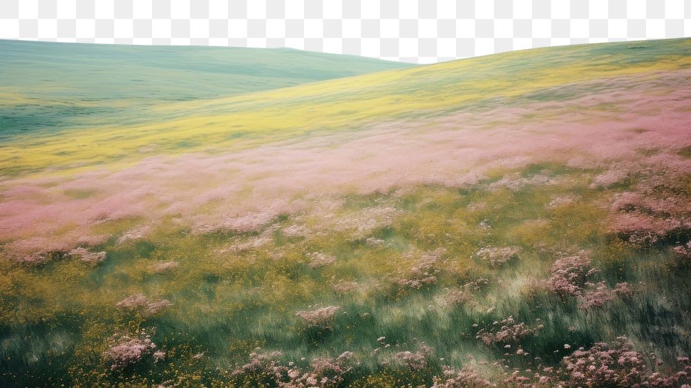 PNG A minimal-large grassland landscape outdoors nature. AI generated Image by rawpixel.