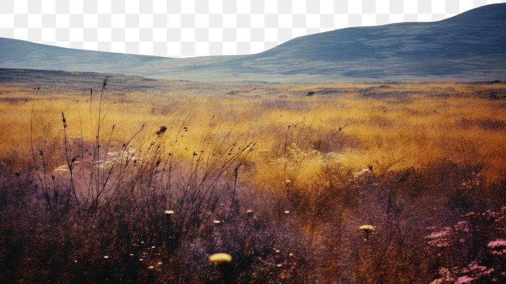 PNG A minimal-large grassland landscape wilderness outdoors. AI generated Image by rawpixel.