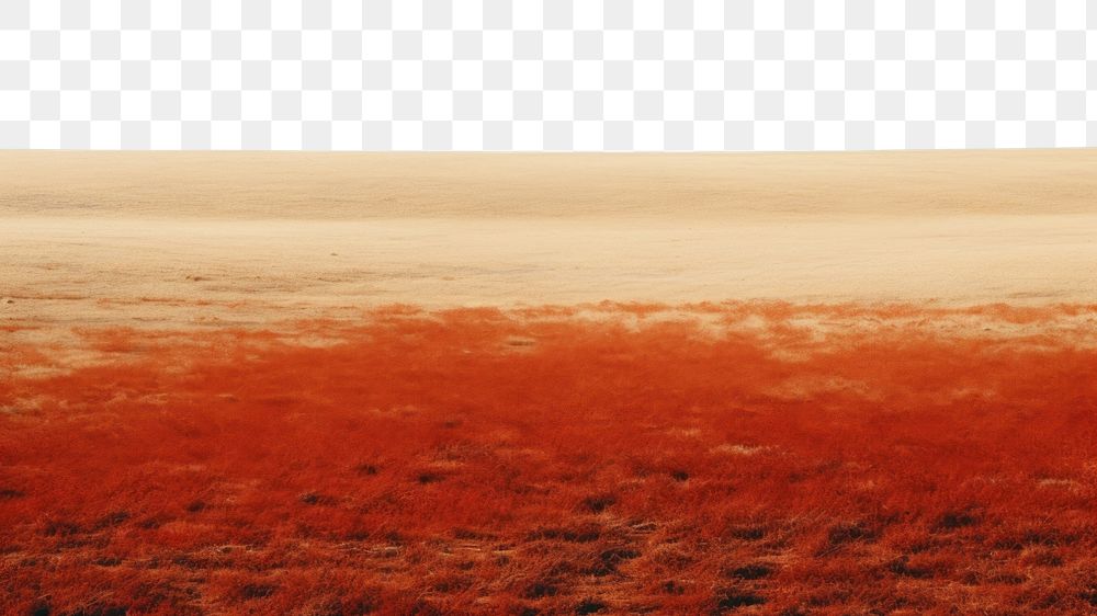 PNG A minimal-large savanna feild land landscape outdoors. AI generated Image by rawpixel.
