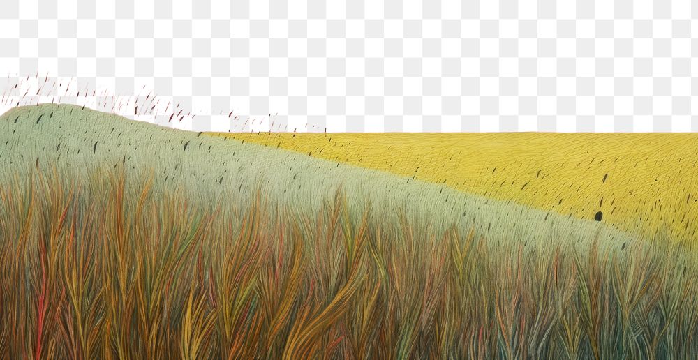 PNG A pencil color painting of a grassland landscape outdoors drawing. AI generated Image by rawpixel.