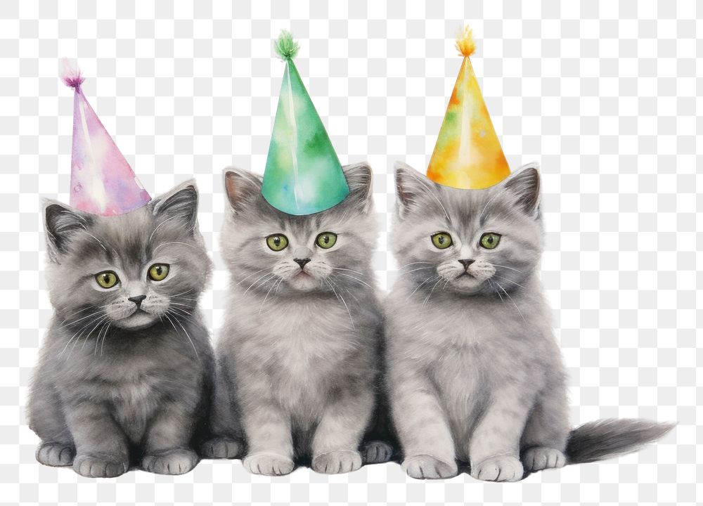 PNG Three baby cat party scene mammal animal kitten. AI generated Image by rawpixel.