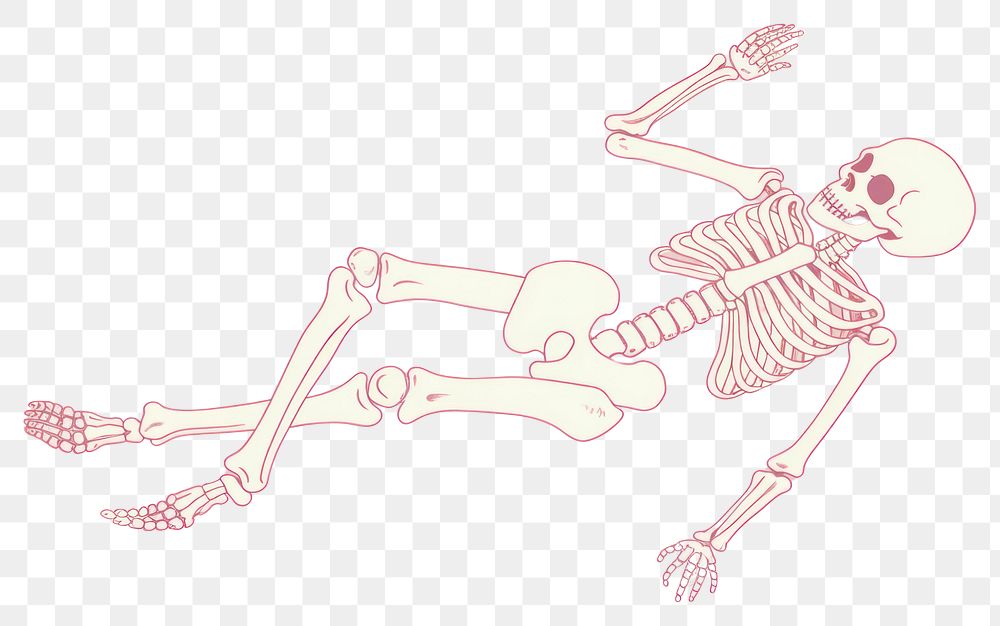 PNG Skeleton lying creativity cartoon drawing. 