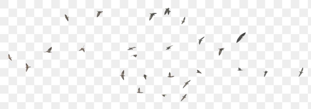 PNG  Birds flying on sky outdoors animal nature. AI generated Image by rawpixel.