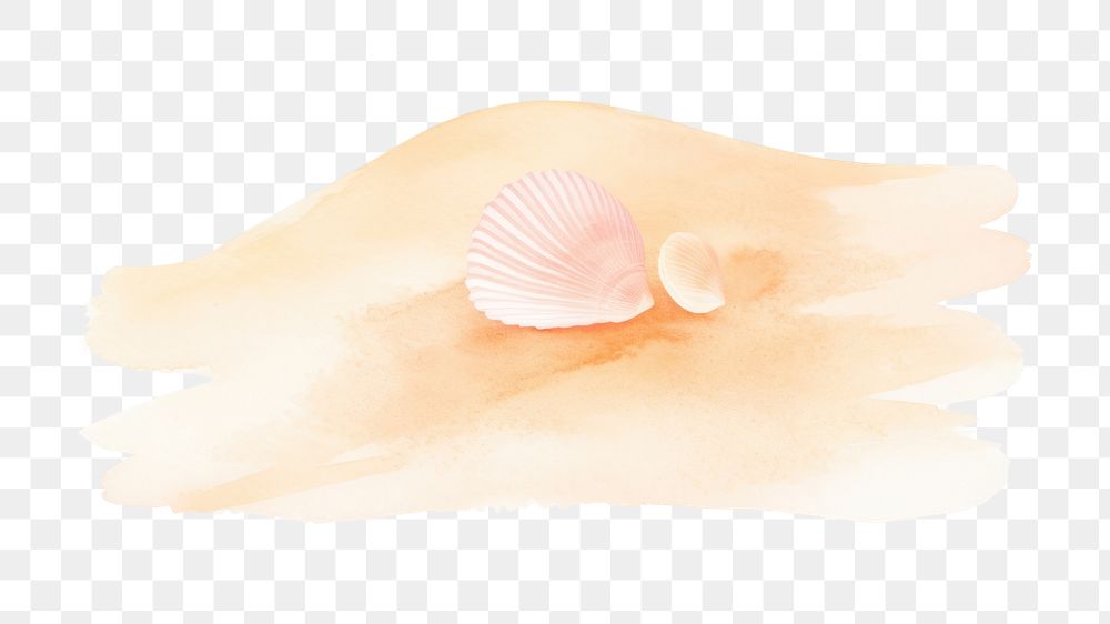 PNG Beach invertebrate abstract seashell. AI generated Image by rawpixel.