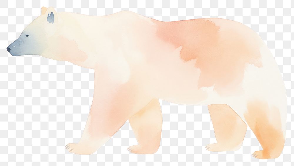 PNG Bear wildlife mammal animal. AI generated Image by rawpixel.