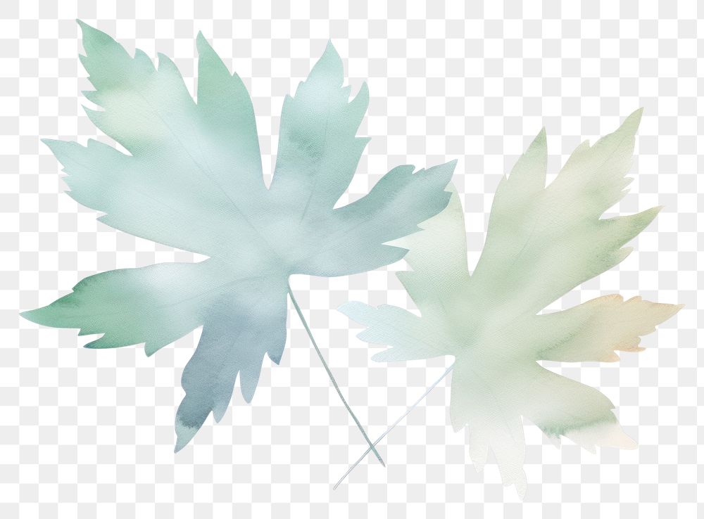 PNG Double leaves plant leaf tree. AI generated Image by rawpixel.