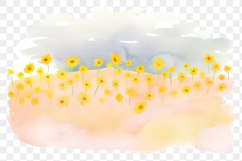 PNG Sunflower field backgrounds plant petal. AI generated Image by rawpixel.