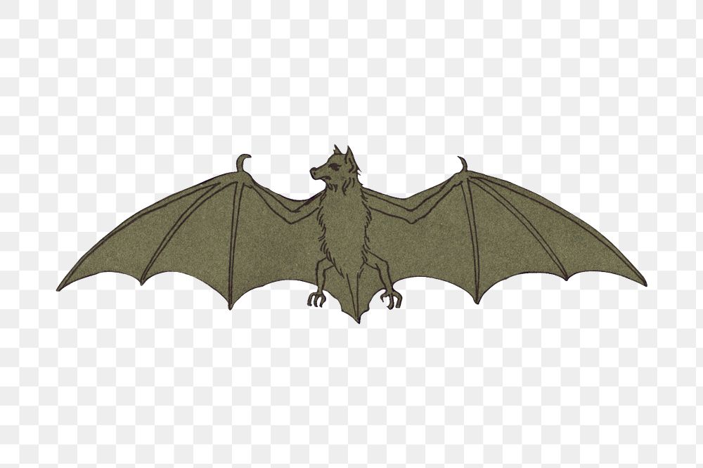 Bat png sticker, vintage animal, transparent background