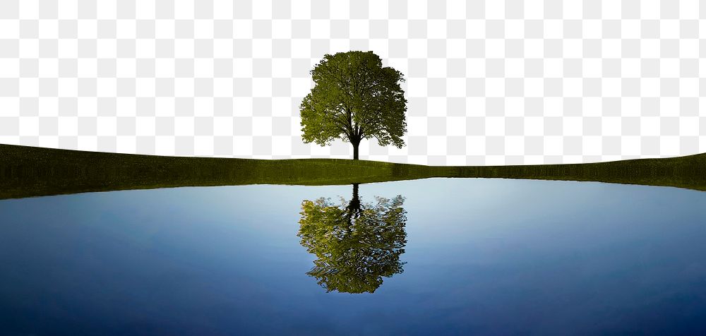 Png tree and lake reflection border sticker, nature on transparent background