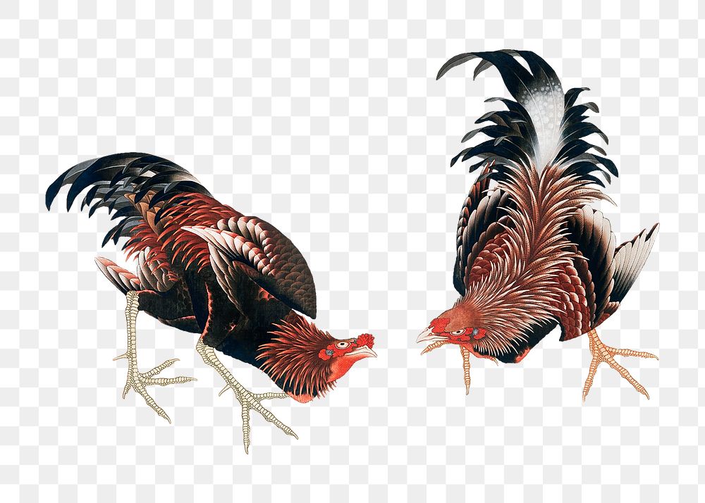 Vintage chickens png, Japanese animal illustration, transparent background. Original public domain image. Digitally enhanced…