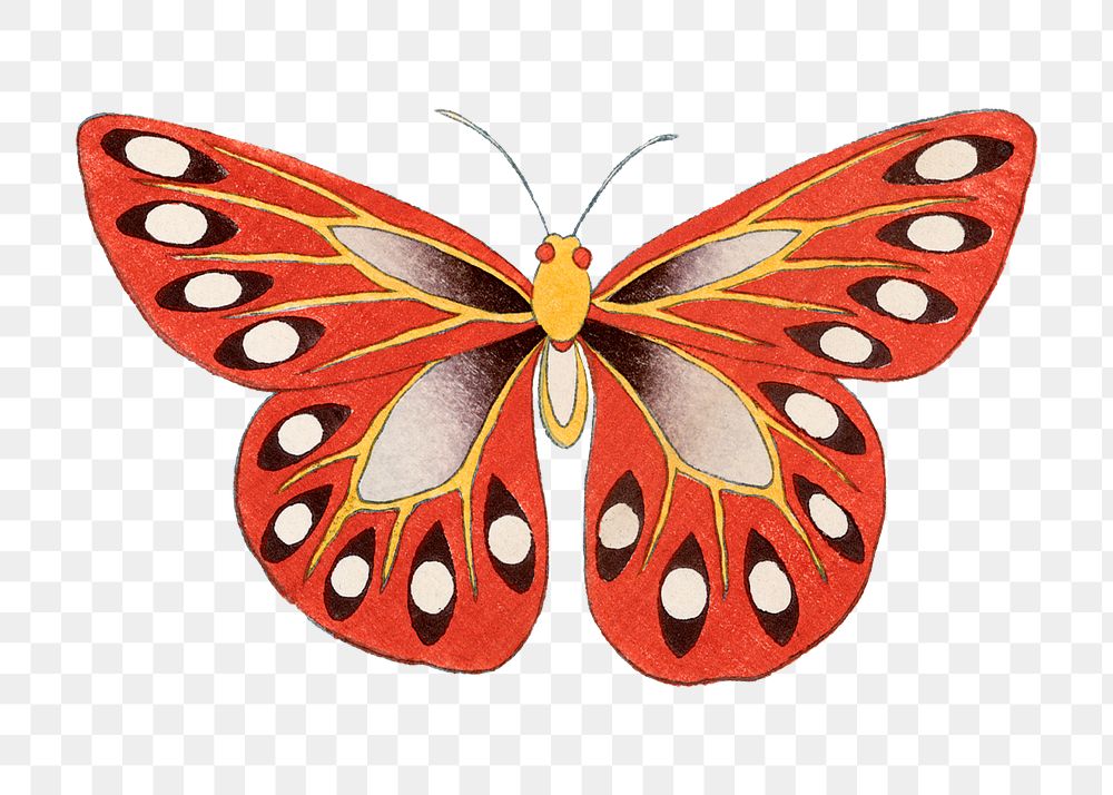 Orange butterfly png sticker, vintage insect illustration, transparent background
