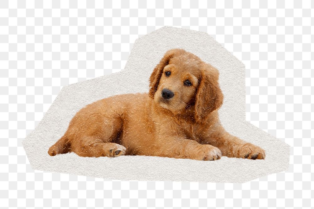 Golden Retriever puppy png pet sticker, paper cut on transparent background