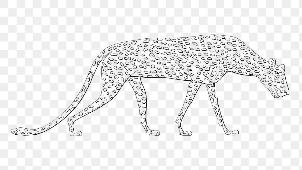 Leopard png vintage illustration, Egyptian design on transparent background