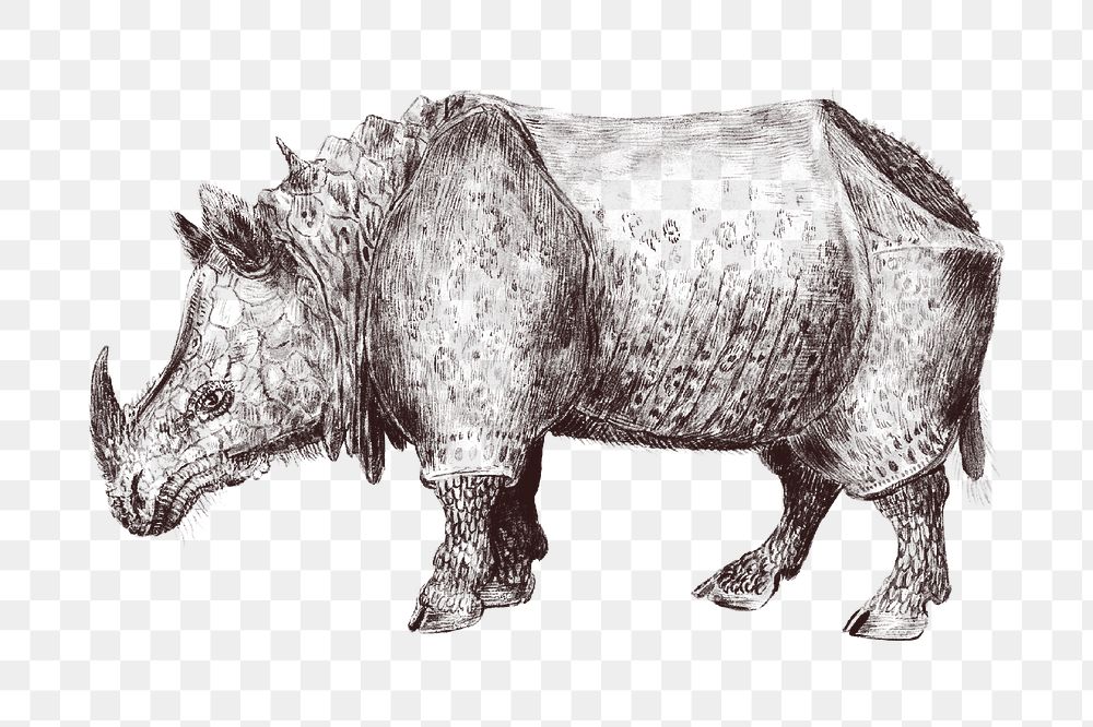 Rhino png vintage illustration, transparent background
