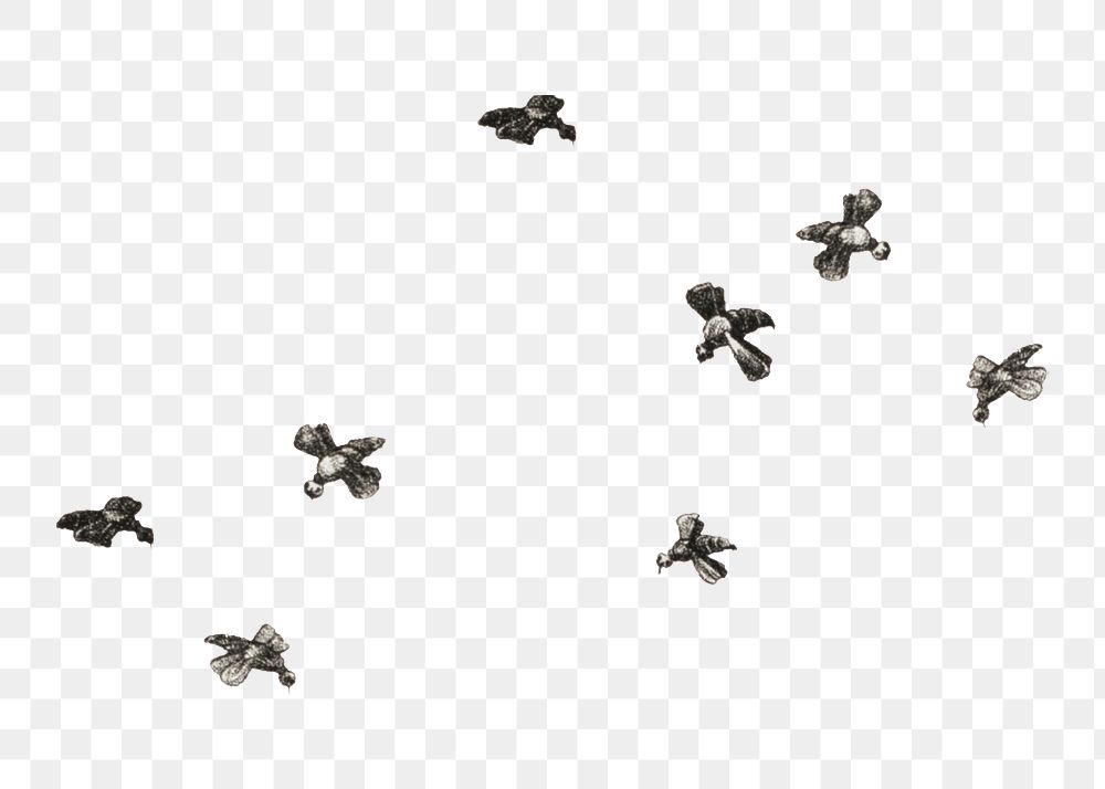 Flying bees png, insect illustration on transparent background. Remixed by rawpixel.