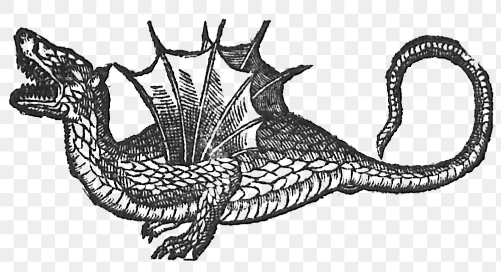 Dutch woodcut of a winged dragon, 1590