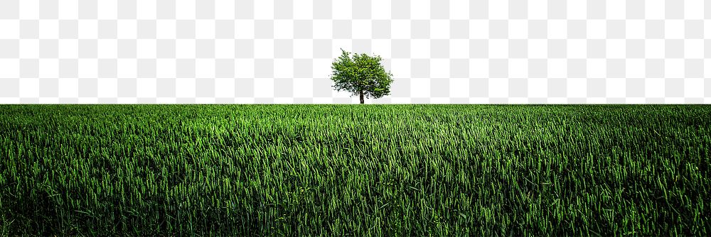 PNG green grass border, spring nature collage element, transparent background