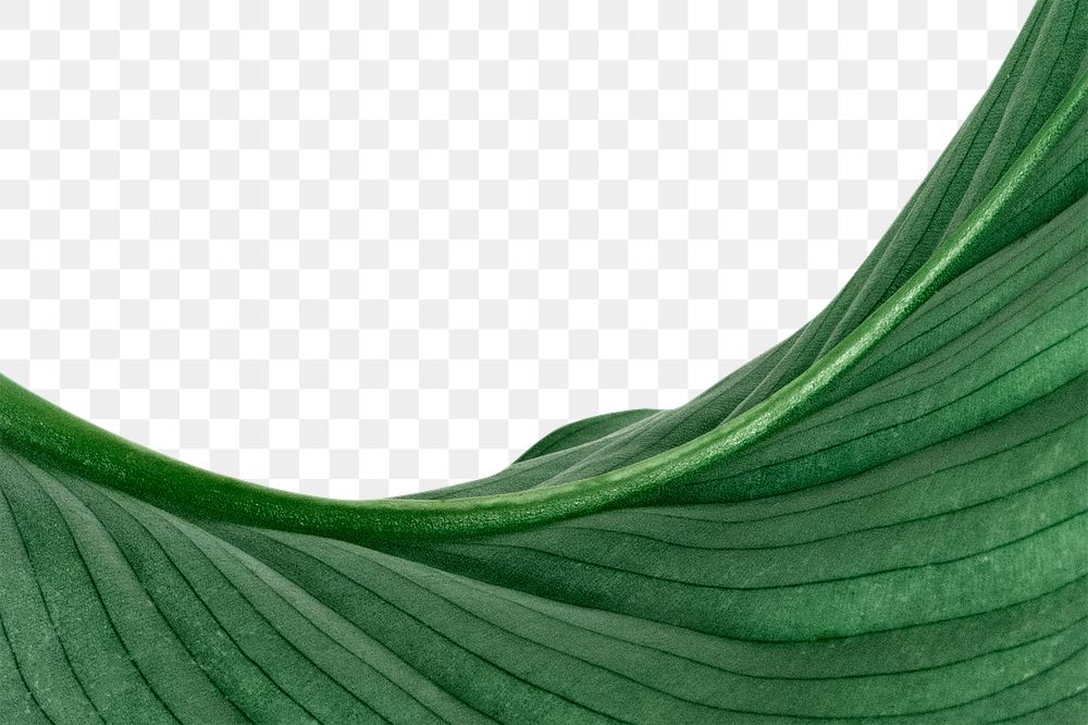 Green leaf png border, transparent background