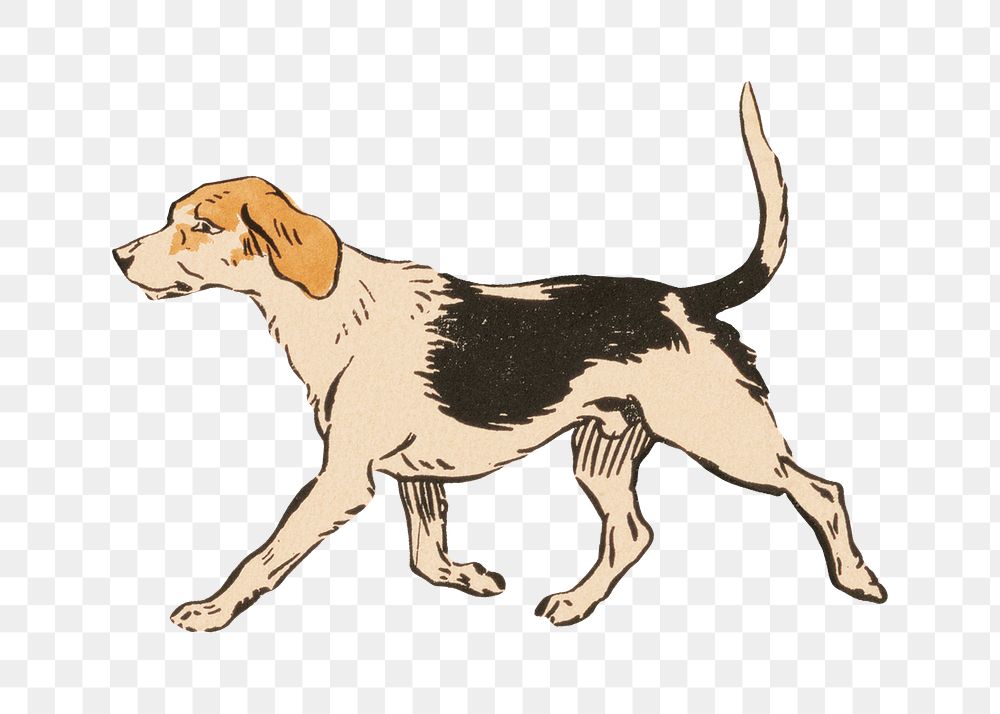 Vintage dog png sticker, animal on transparent background.  Remastered by rawpixel